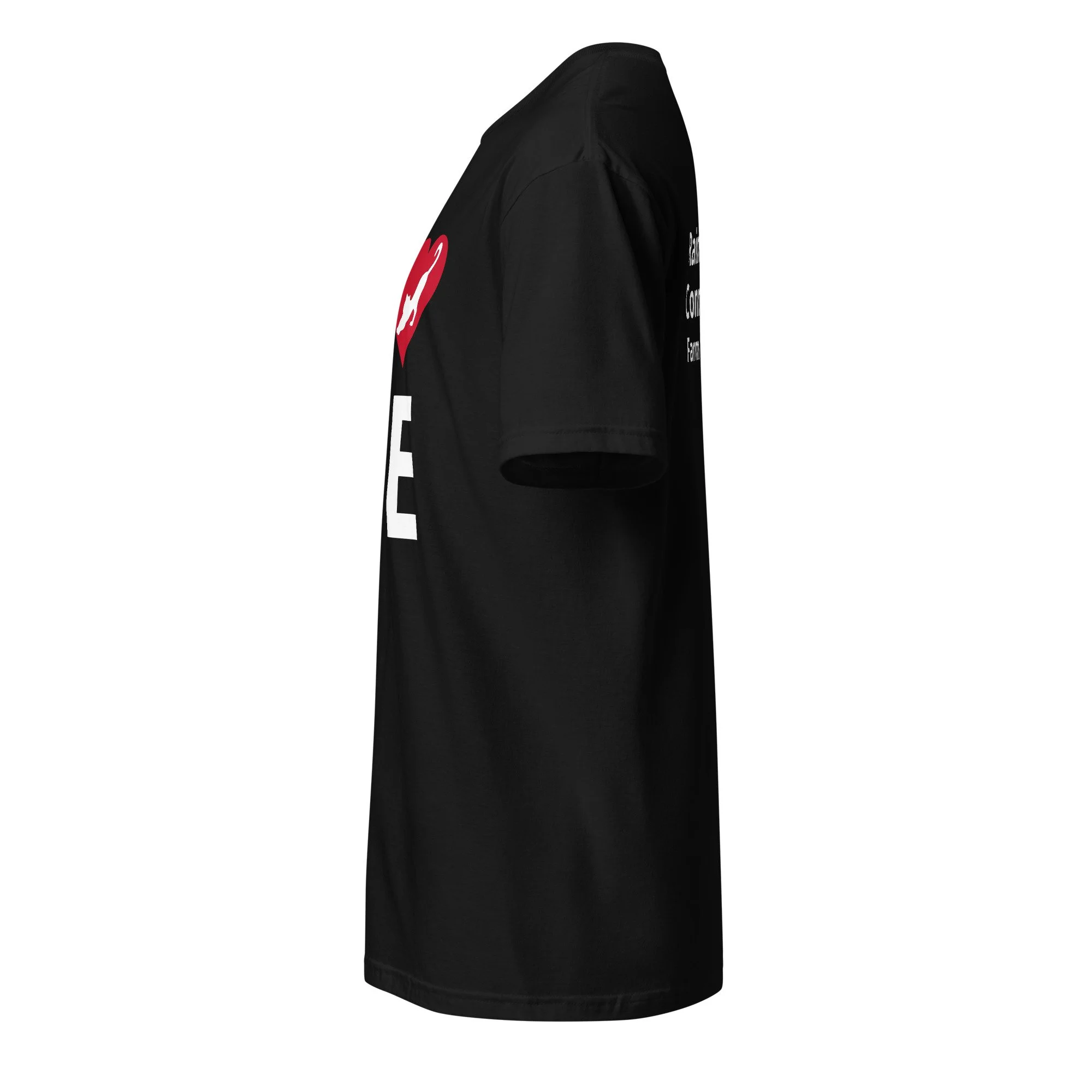 unisex-basic-softstyle-t-shirt-black-left-678515a0507ea.jpg