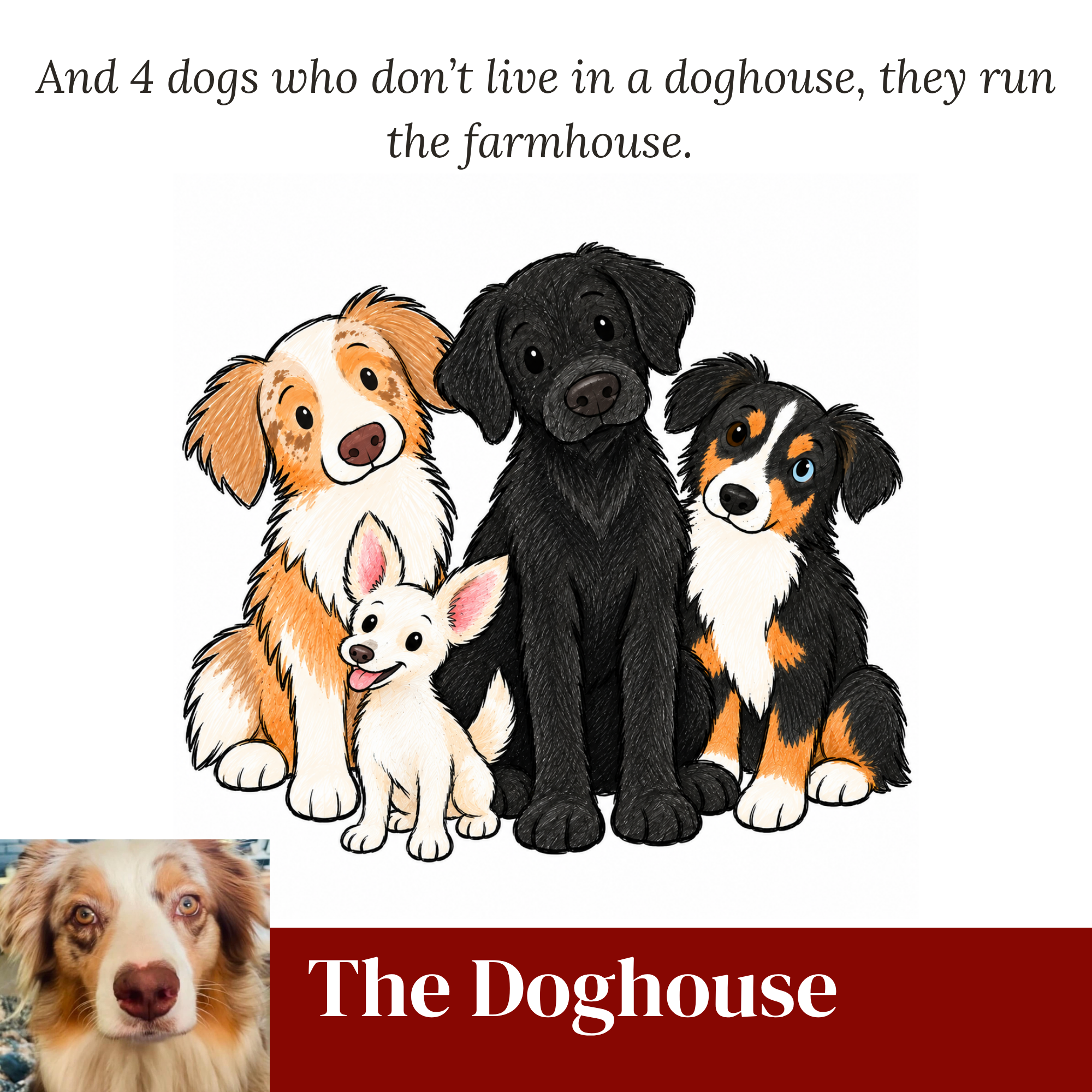 The Doghouse 
