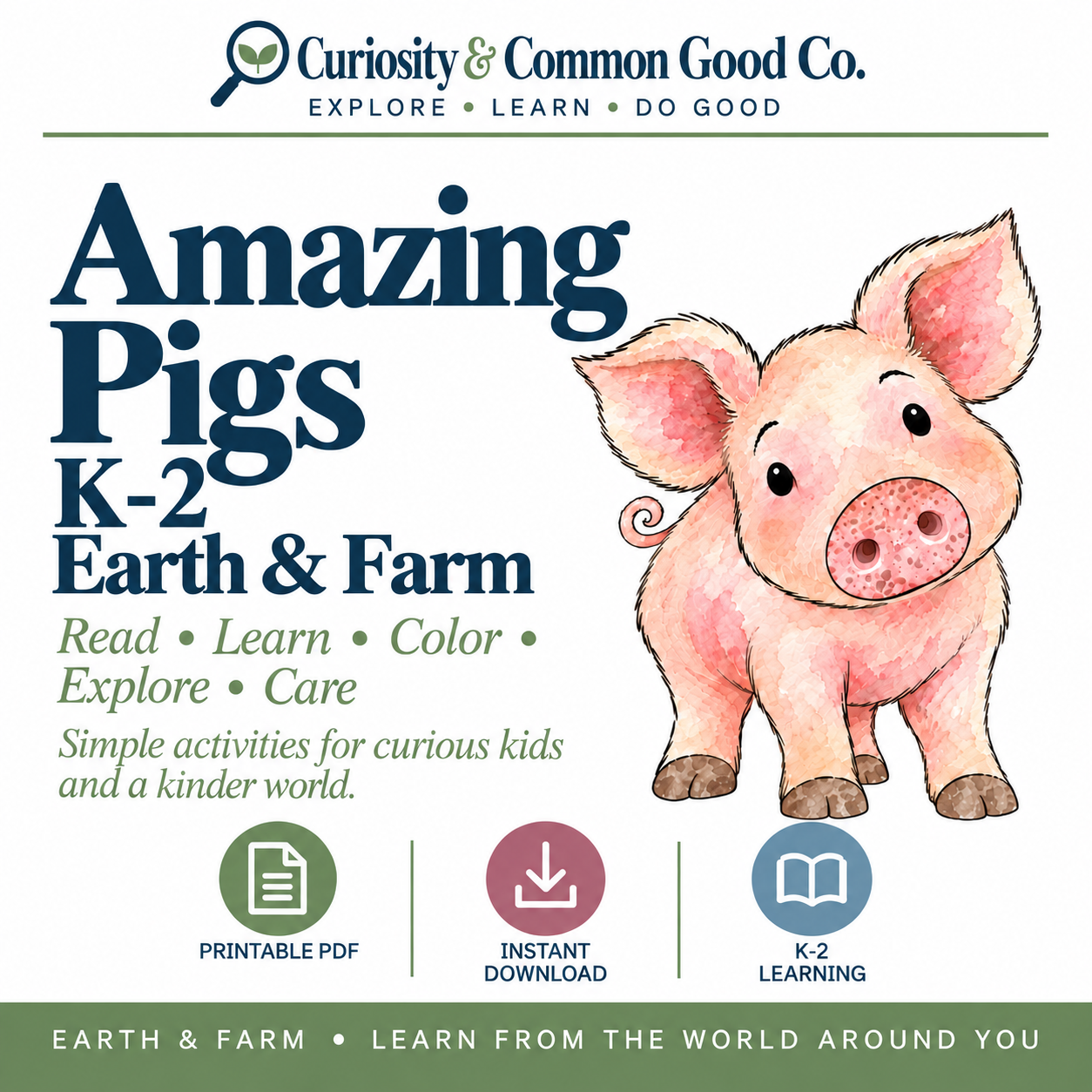 Amazing Pigs — K–2