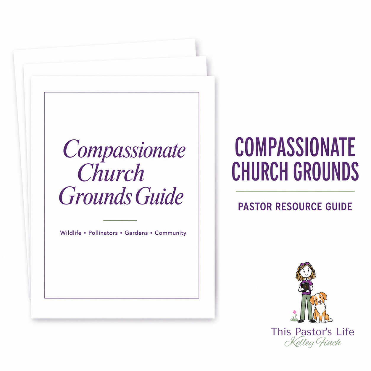 Compassionate Church Grounds: A Pastor’s Guide to Wildlife, Pollinators and Community Gardens