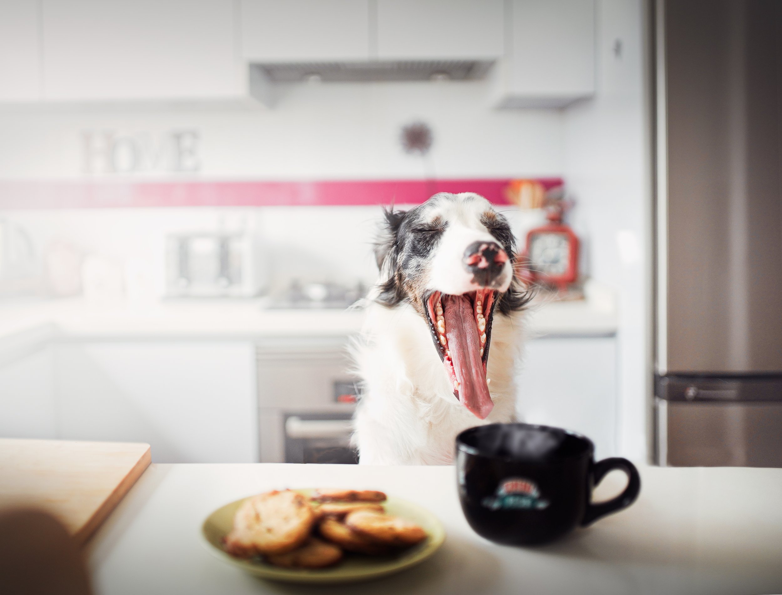 siro-desayuno.jpg