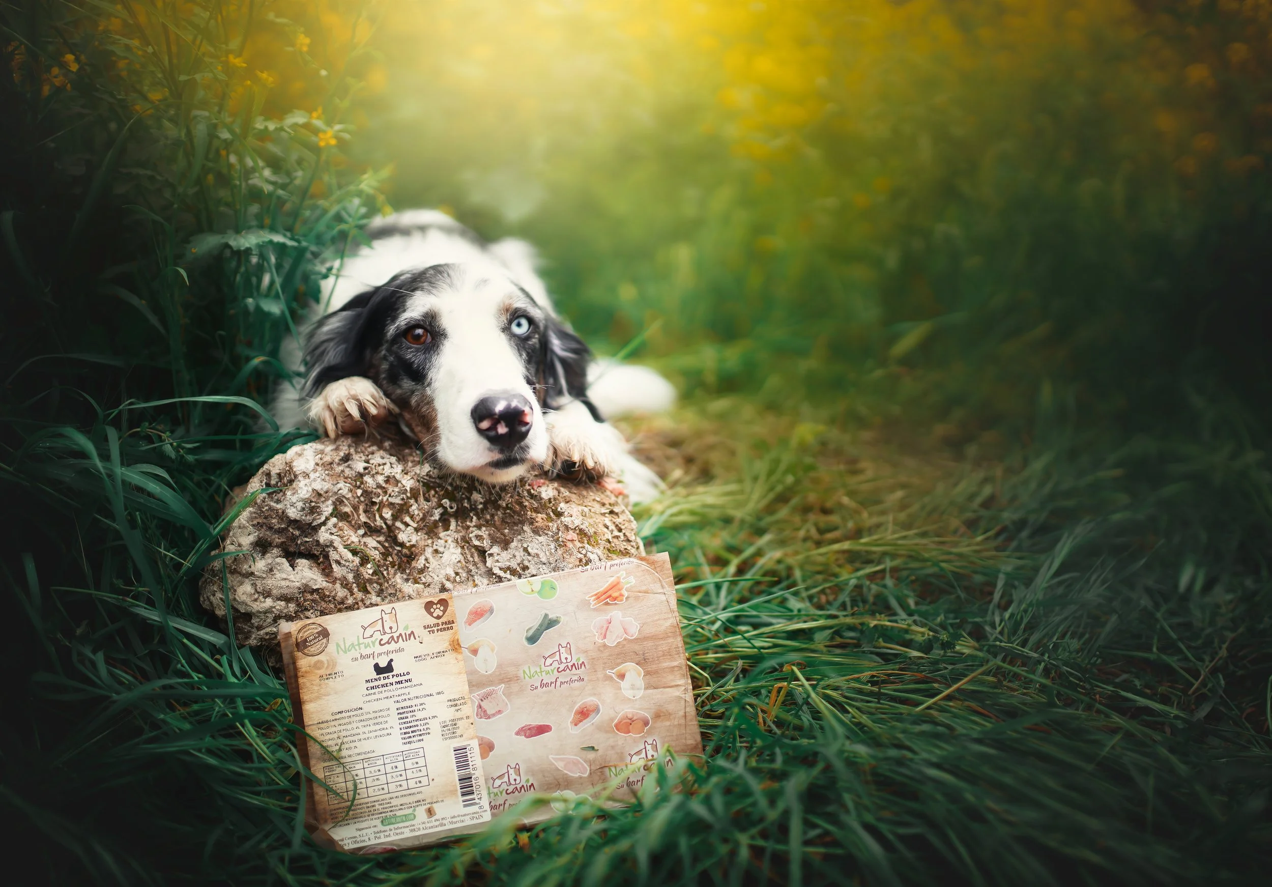 SIRO-Natur-Canin2.jpg