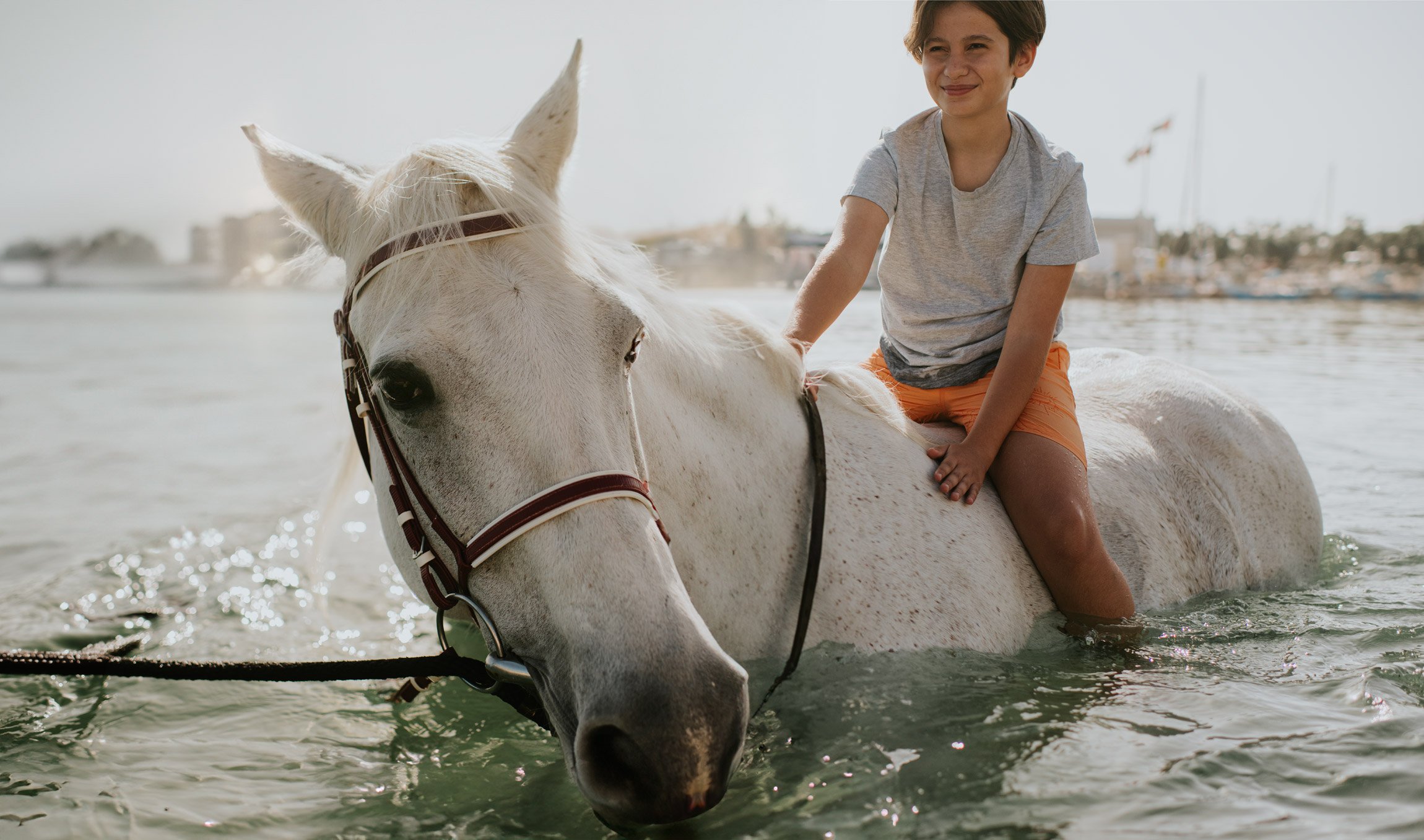 JA_BEACH_RESORT_HORSES_0045.jpg