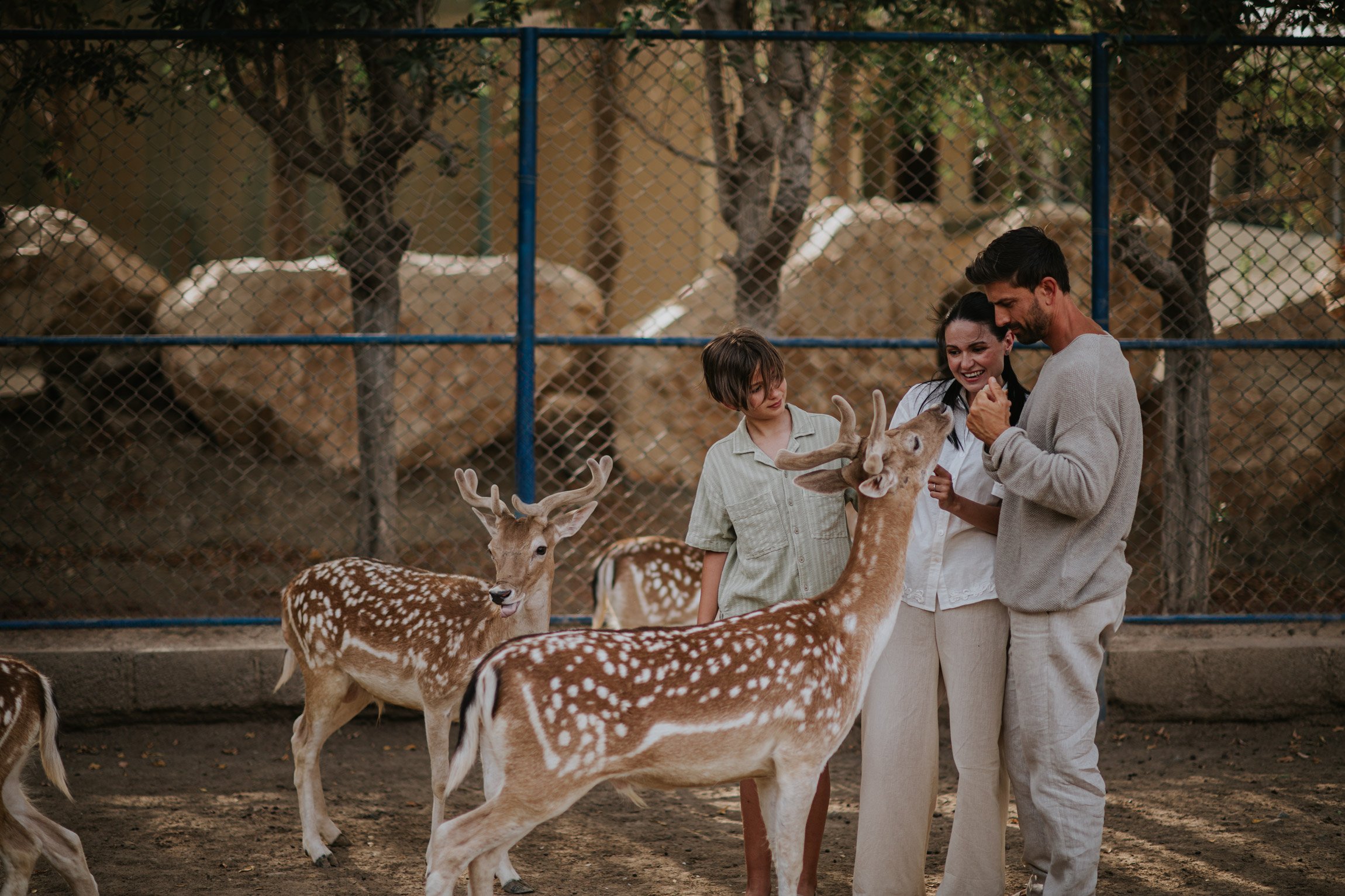 JA_HATTA_FORT_ANIMAL_SANCTUARY_0211.jpg