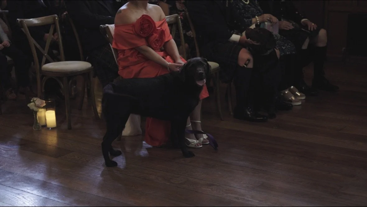 A black dog standing next to a woman dressed in a red gown at an indoor event with seated guests.