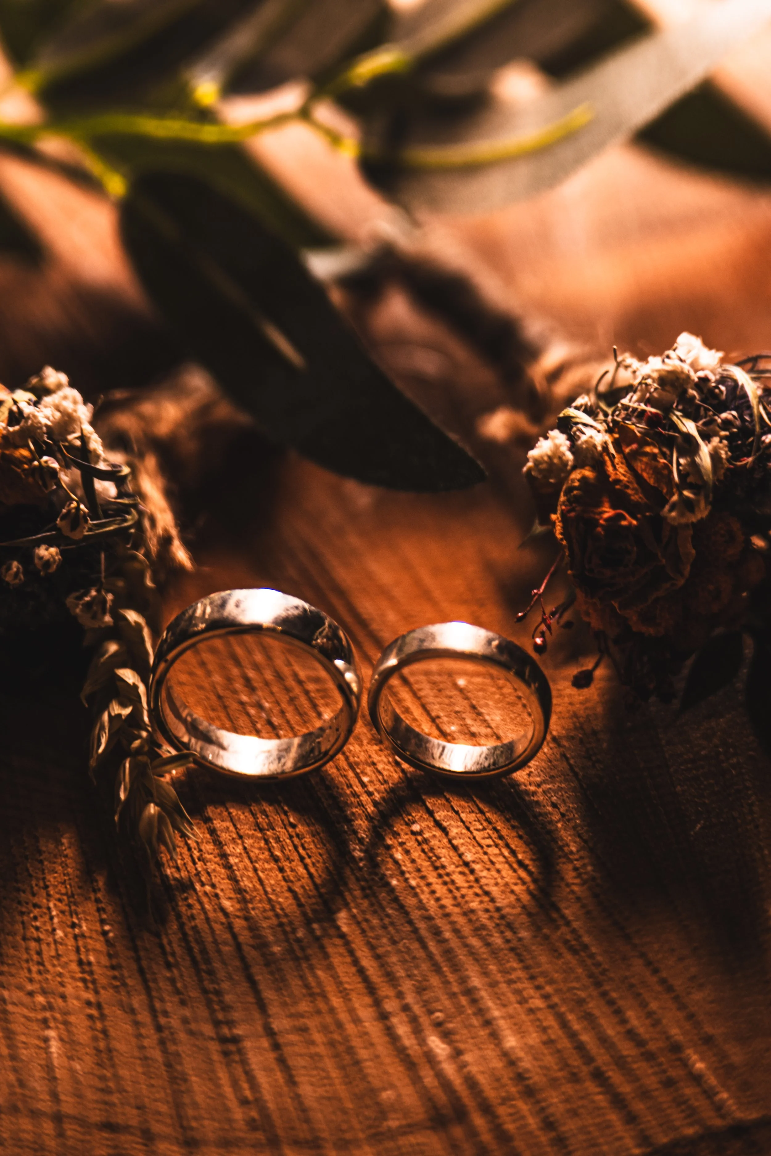 Wedding rings on display.jpg