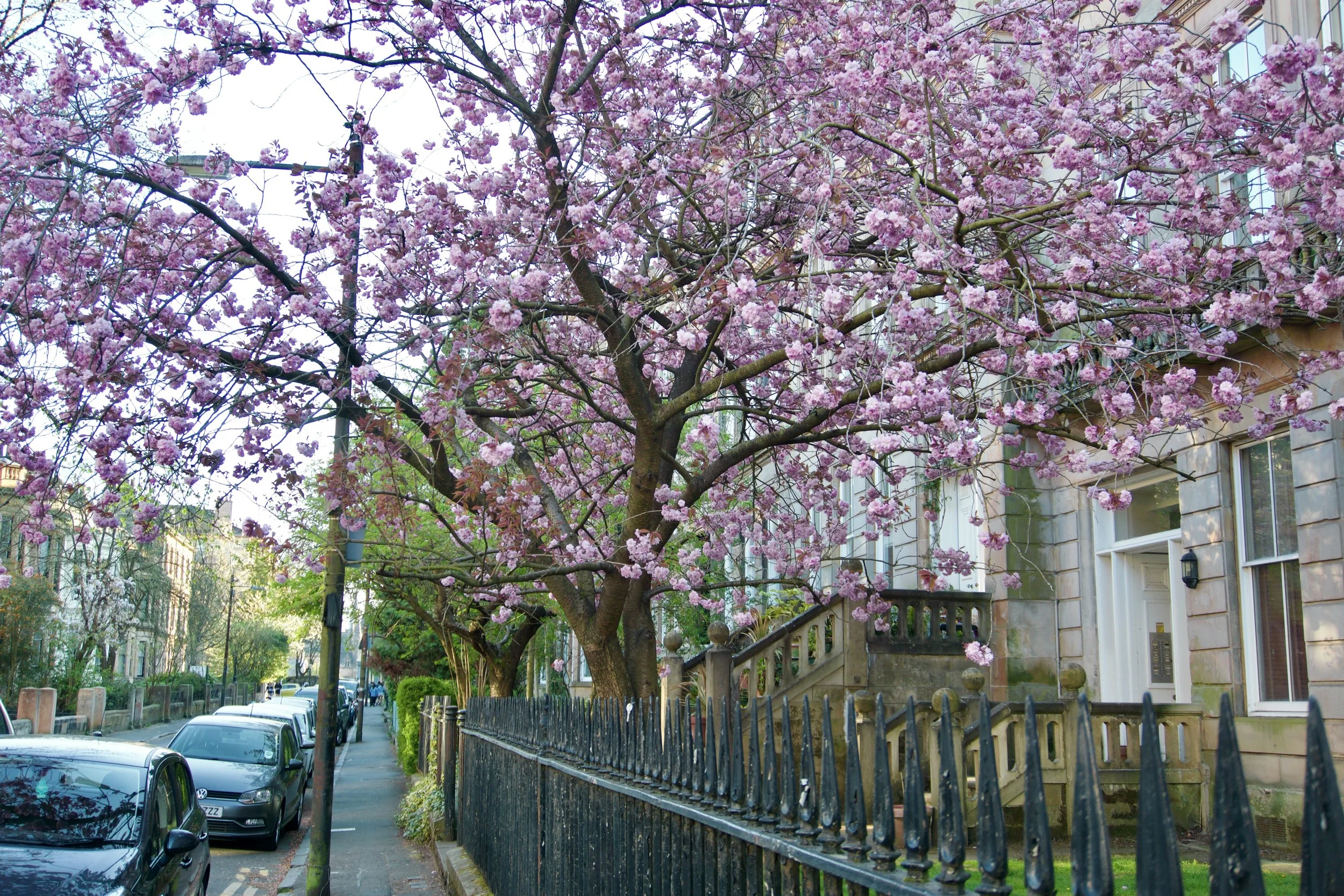 DSC07394 copy 2.jpeg