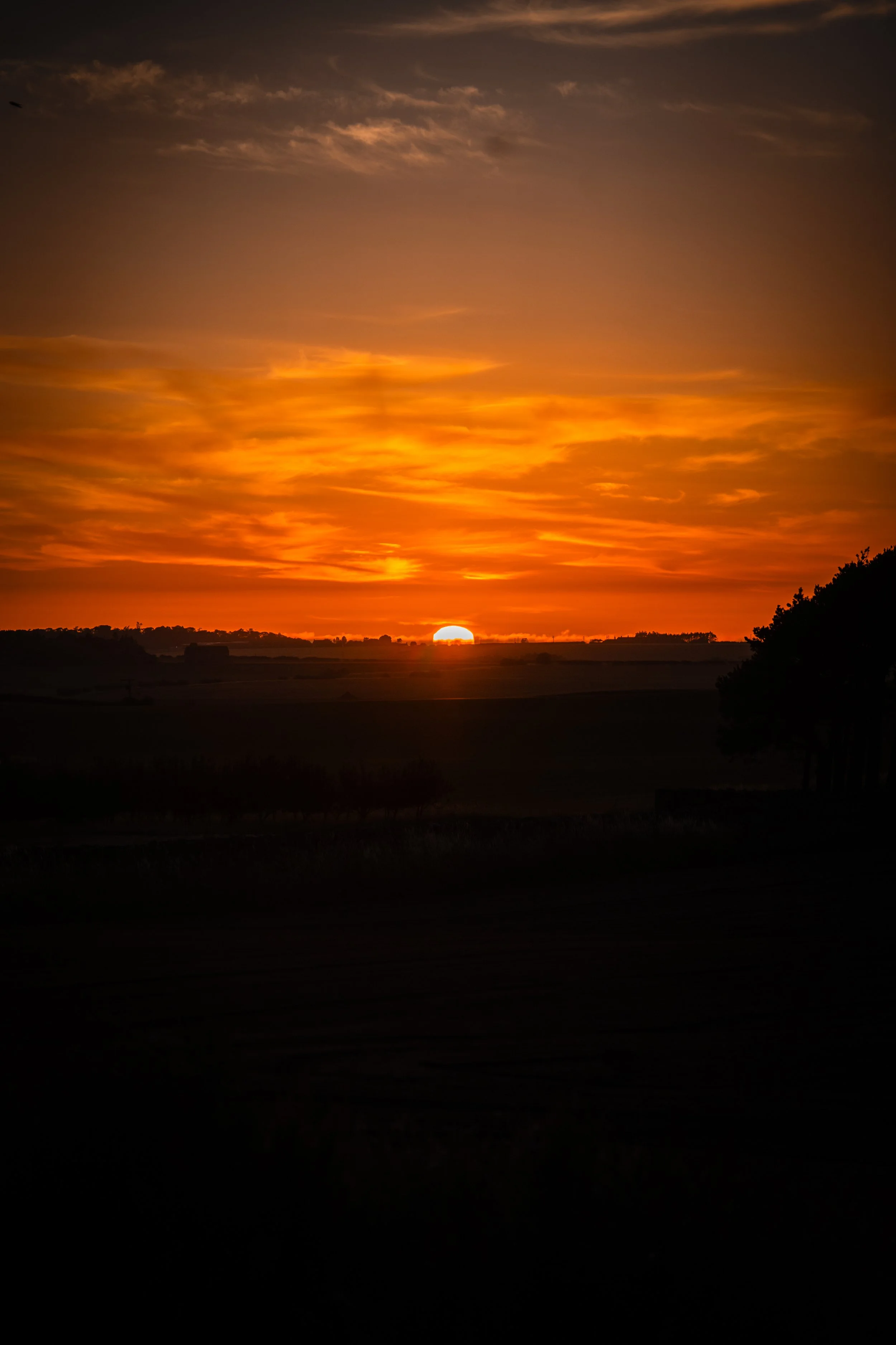 Sunset over a rural landscape with a partially visible sun on the horizon, orange and purple clouds in the sky, silhouetted trees on the right, and dark fields in the foreground.