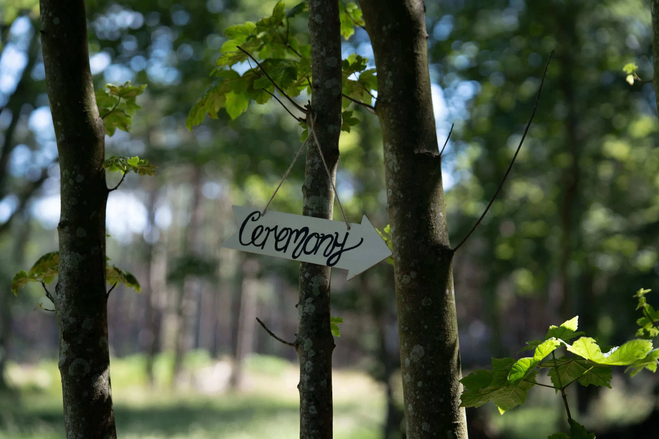 Tree with a white sign hanging on it that says 'Ceremony' with an arrow pointing to the right, in a wooded outdoor setting.