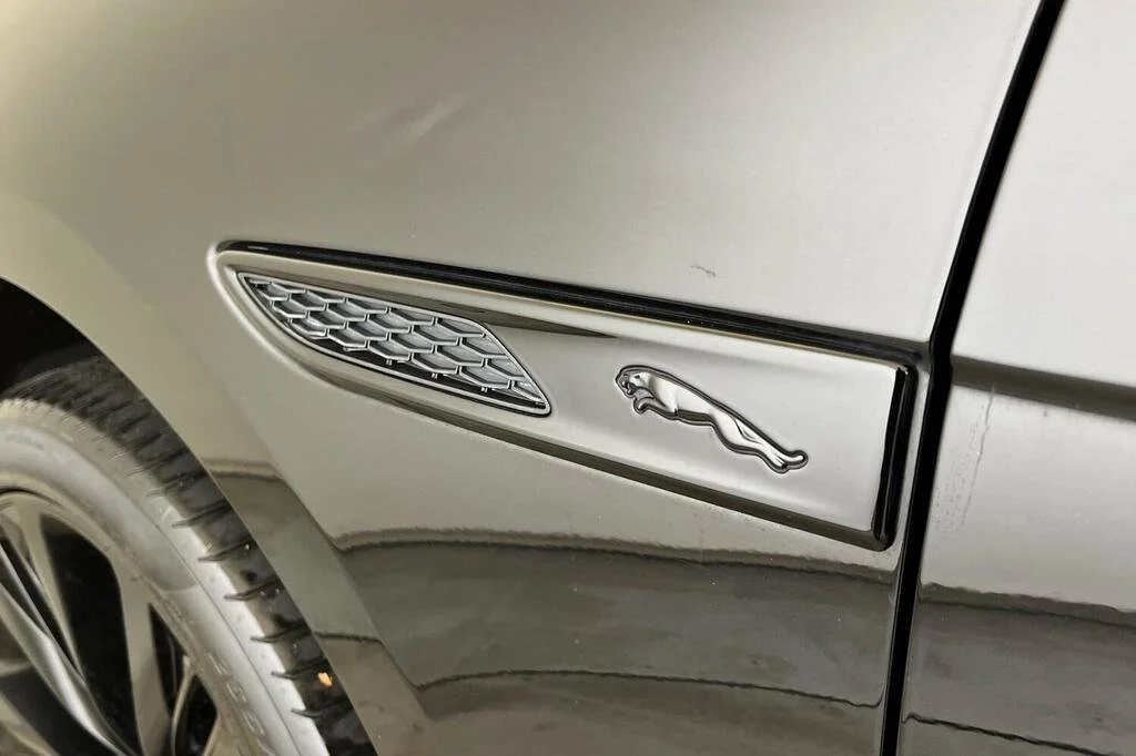 FP 17.jpg