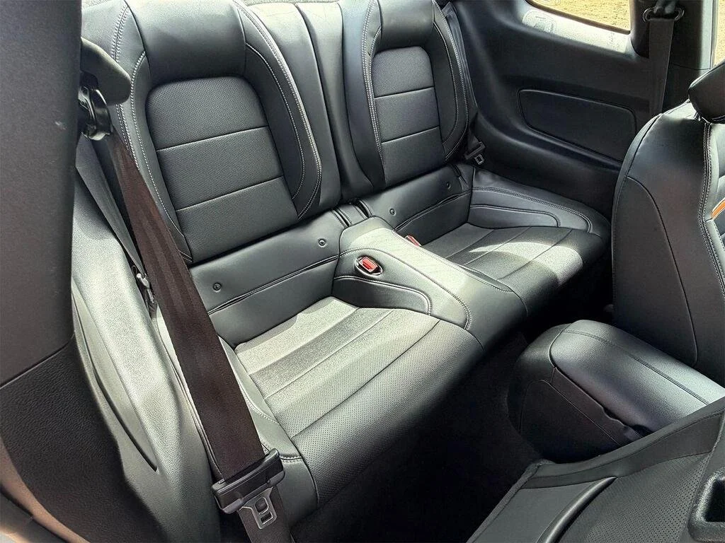 FM 7.jpg