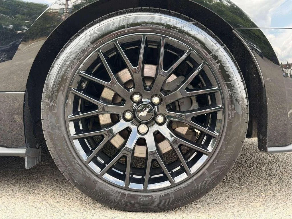 FM 3.jpg