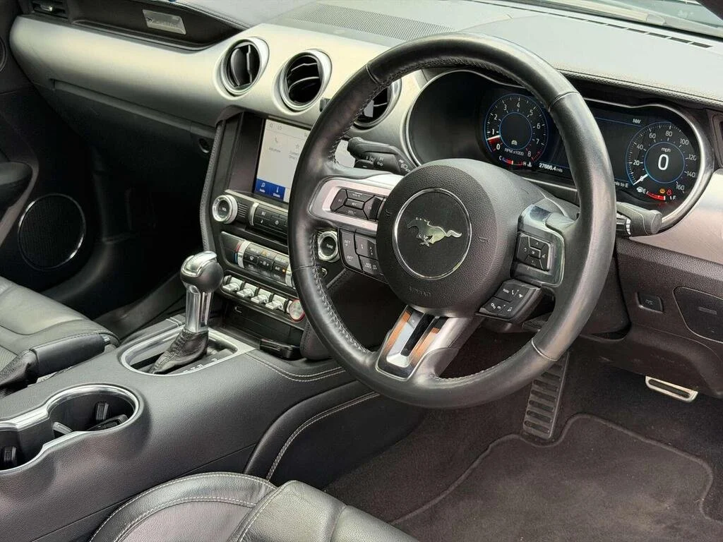 FM 4.jpg