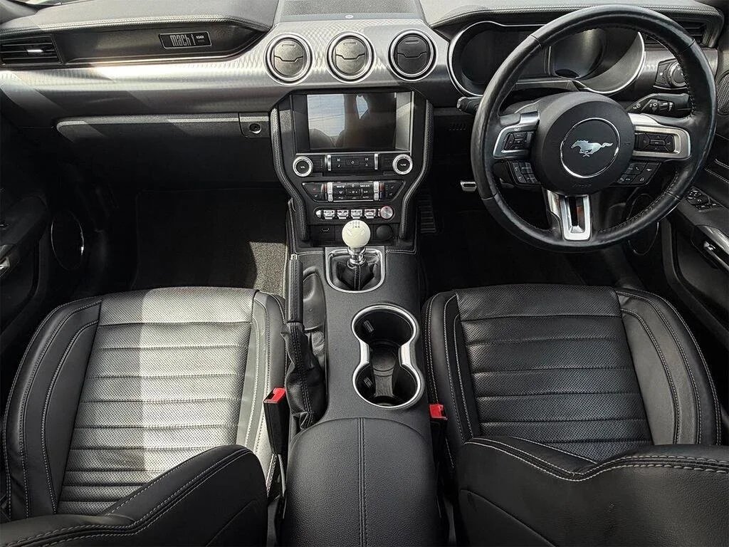 FM 4.jpg