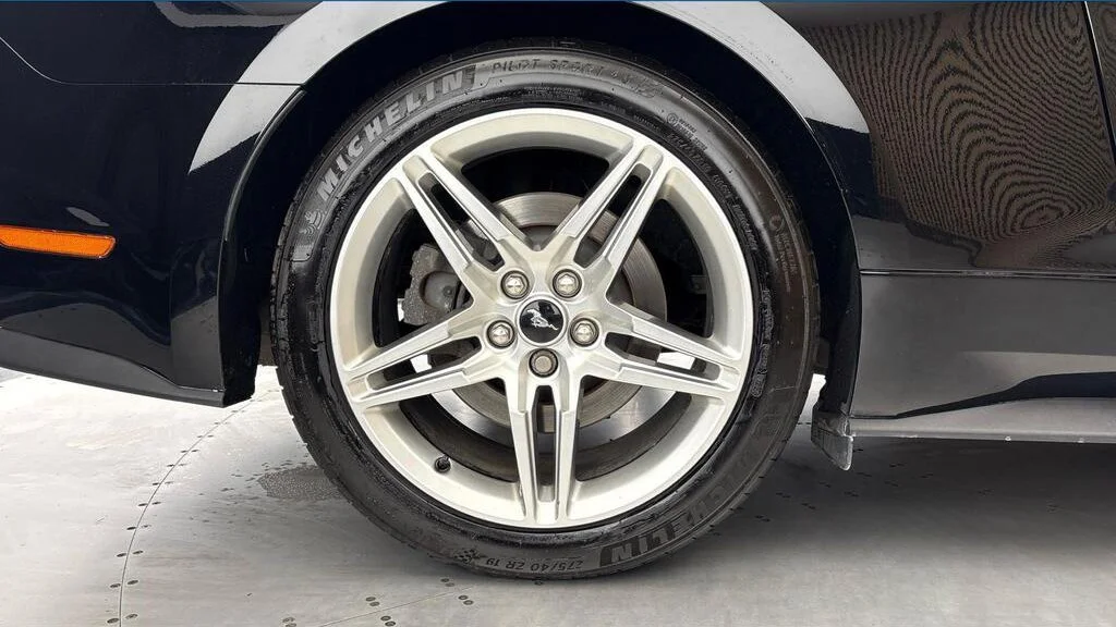 FM 3.jpg