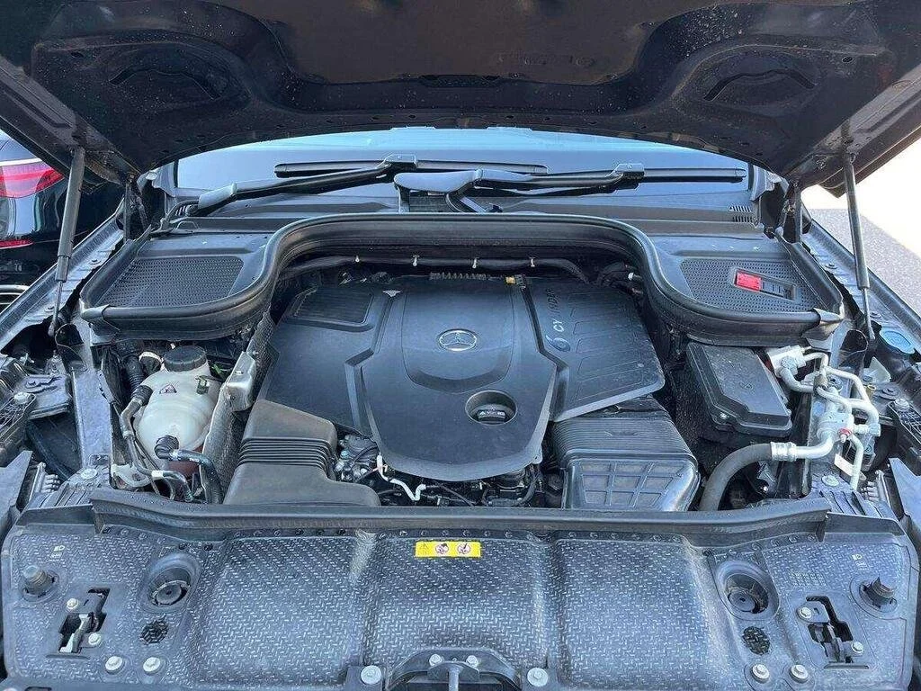 GLS 19.jpg