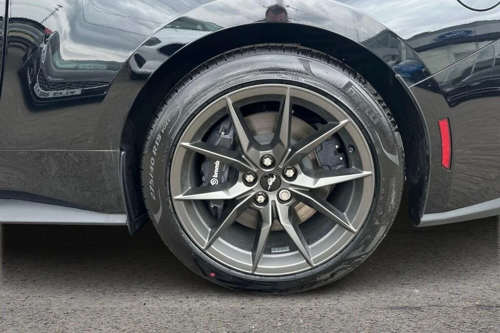 FM 3.jpg