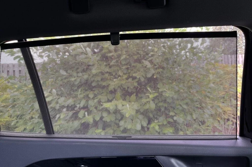 VWT 15.jpg