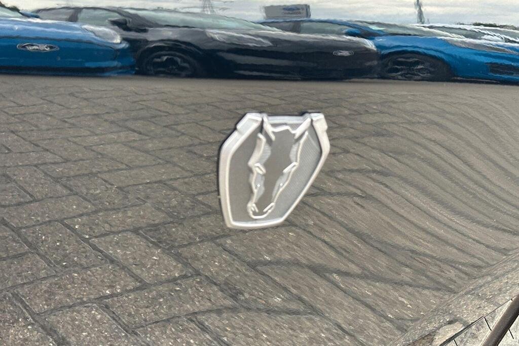 FM 12.jpg
