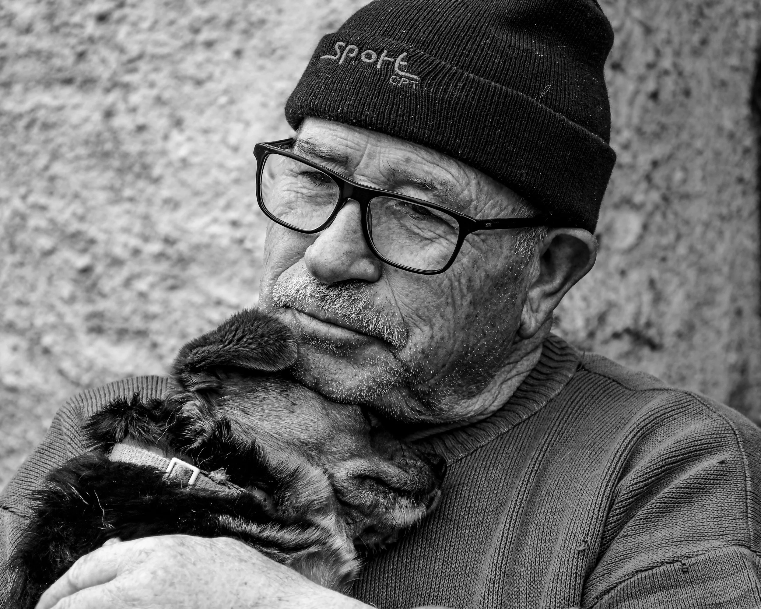 Entre les lignes - Carlos