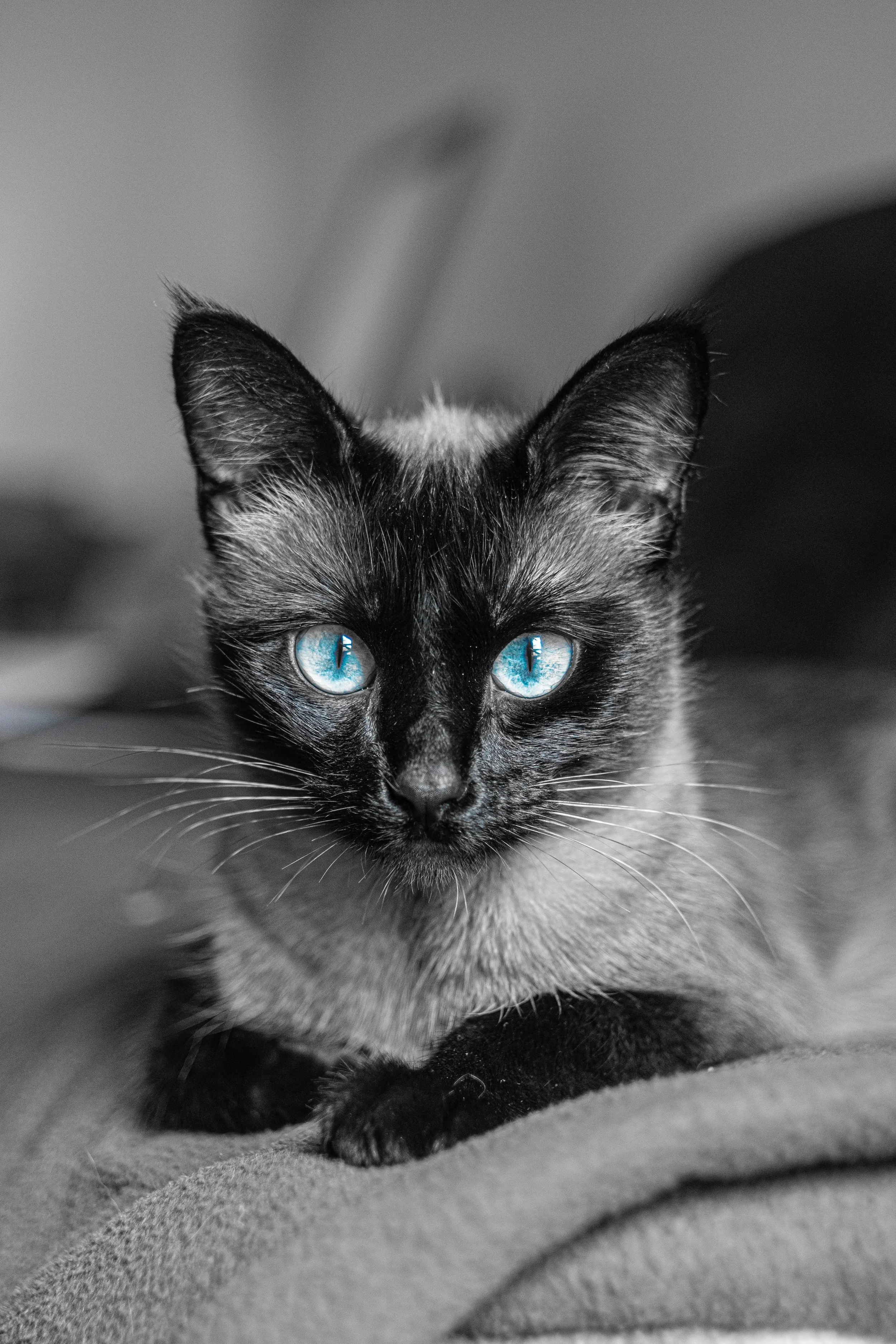 Comment reveiller un sourd ?