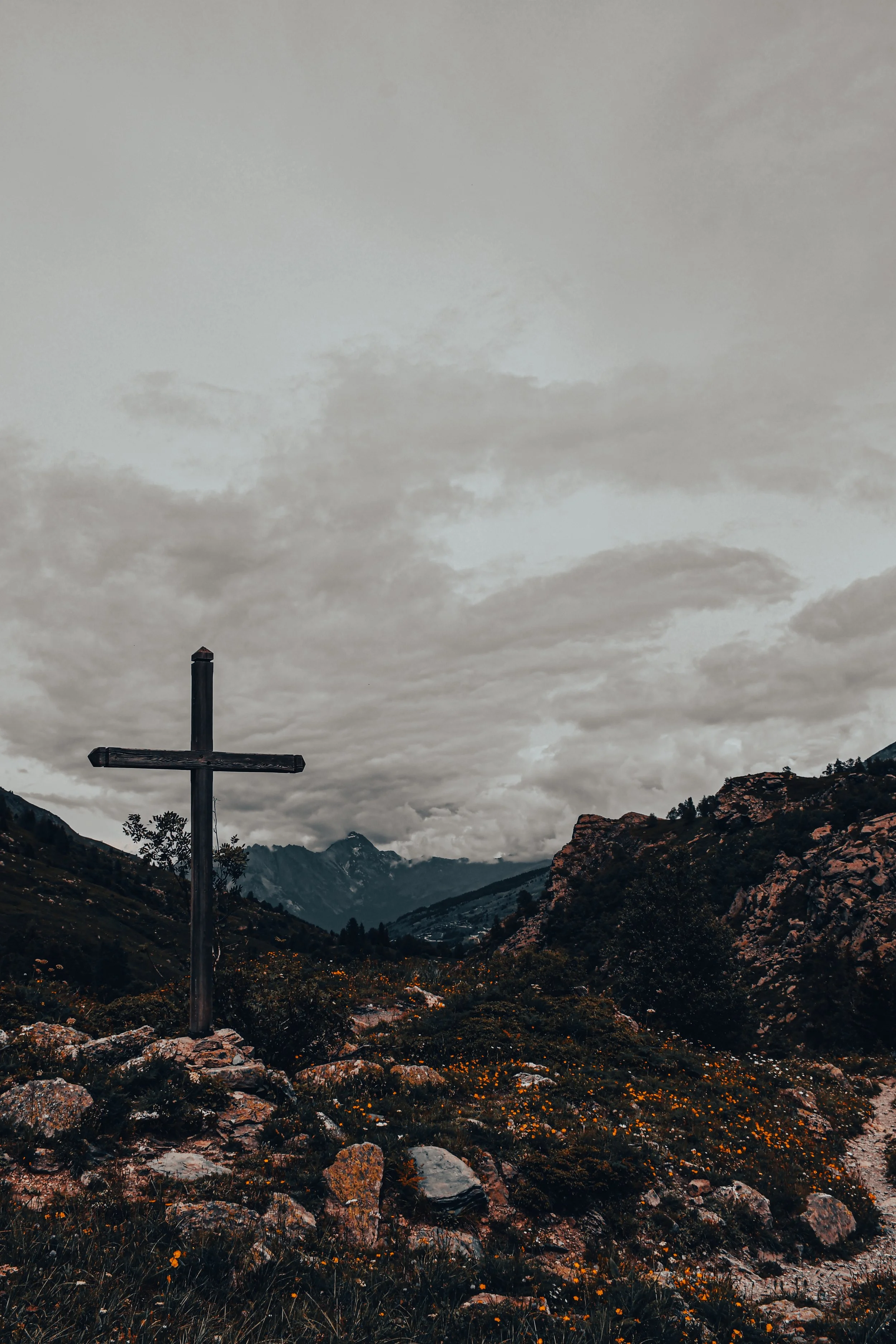 Dieu dans un Crapaud