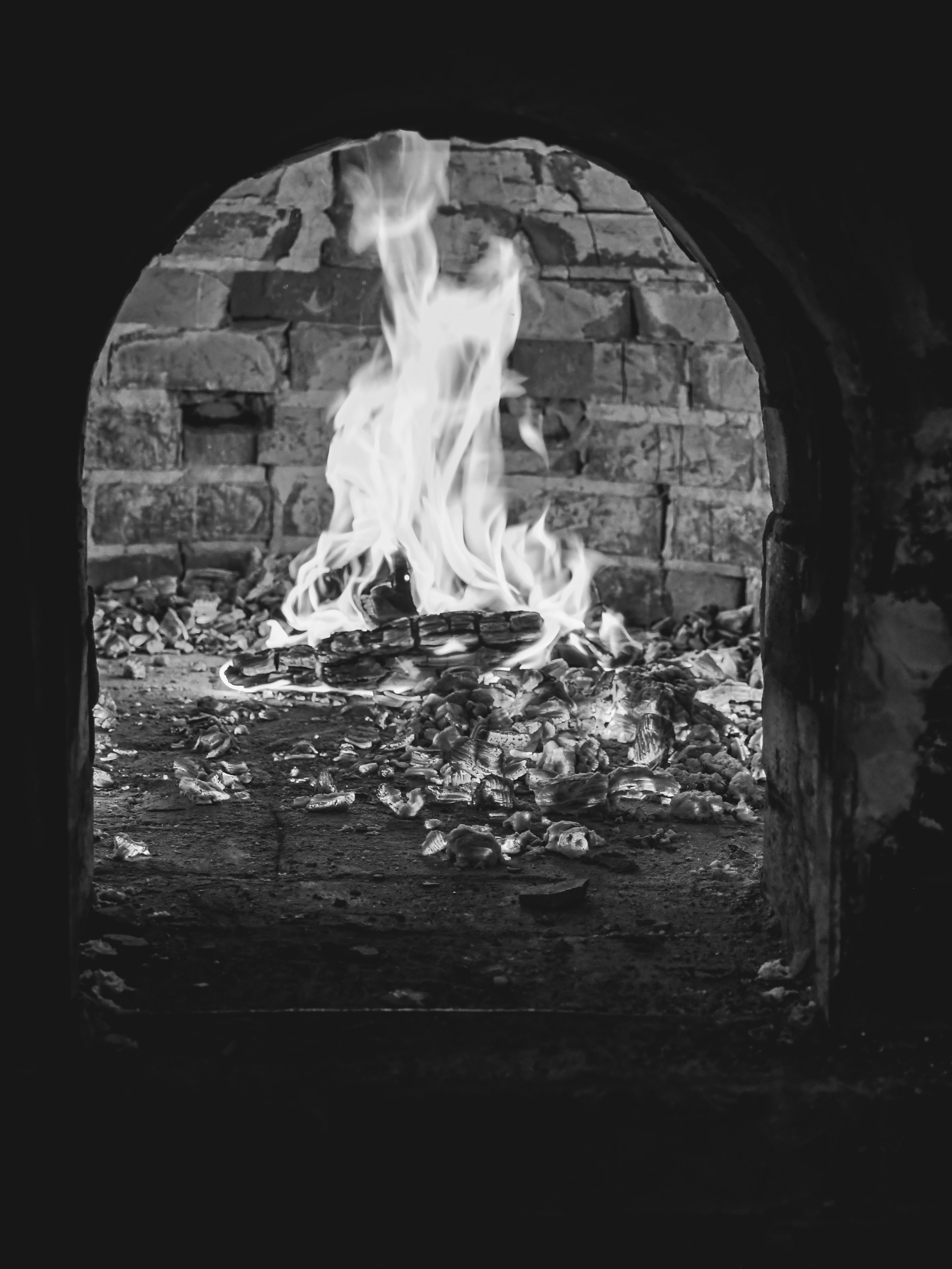 DSC_2205.jpg