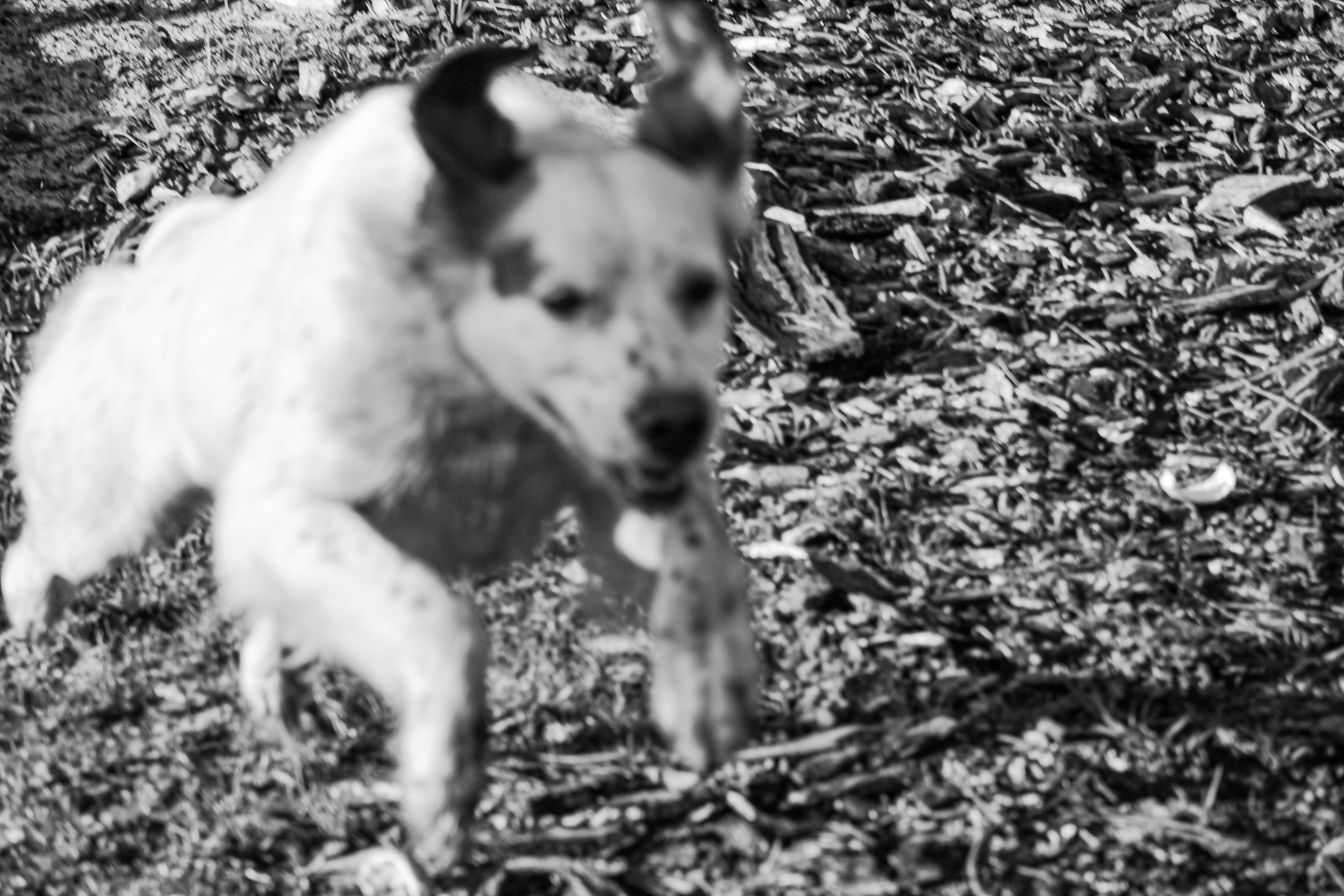 DSC_9361.jpg