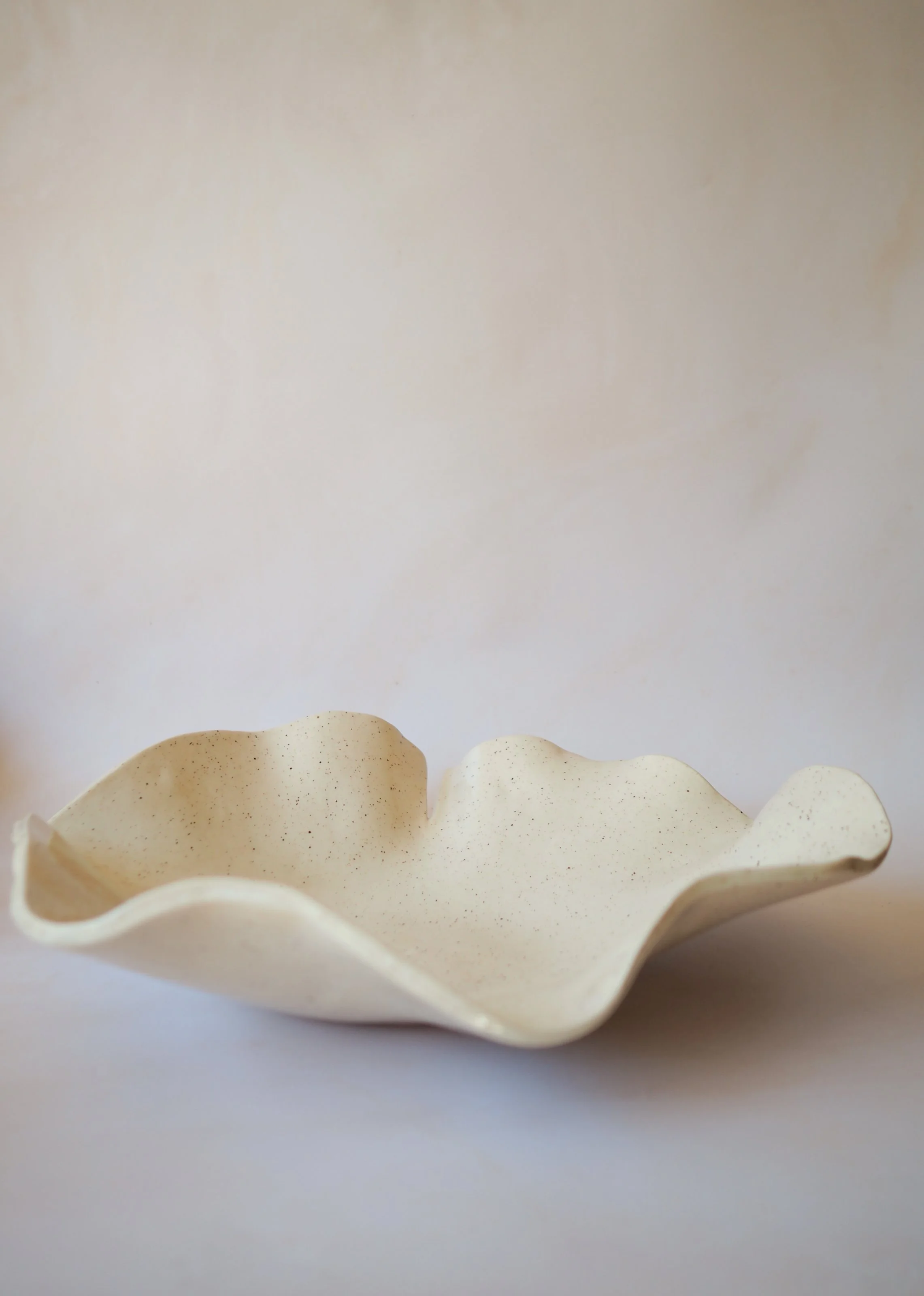Megan Gilbride The Slow Dream Ceramics The Wave Of Life Bowl.JPG