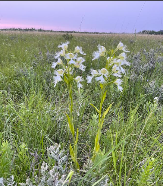 Bruce Flaig Photography Presentation