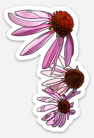 Purple Coneflower Sticker.png