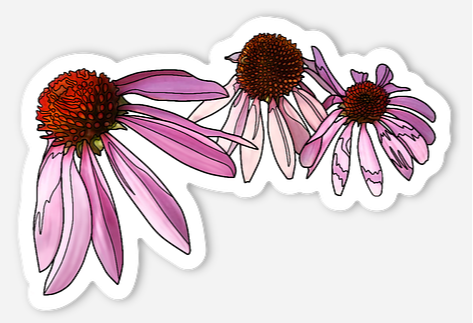 Purple Coneflower Sticker