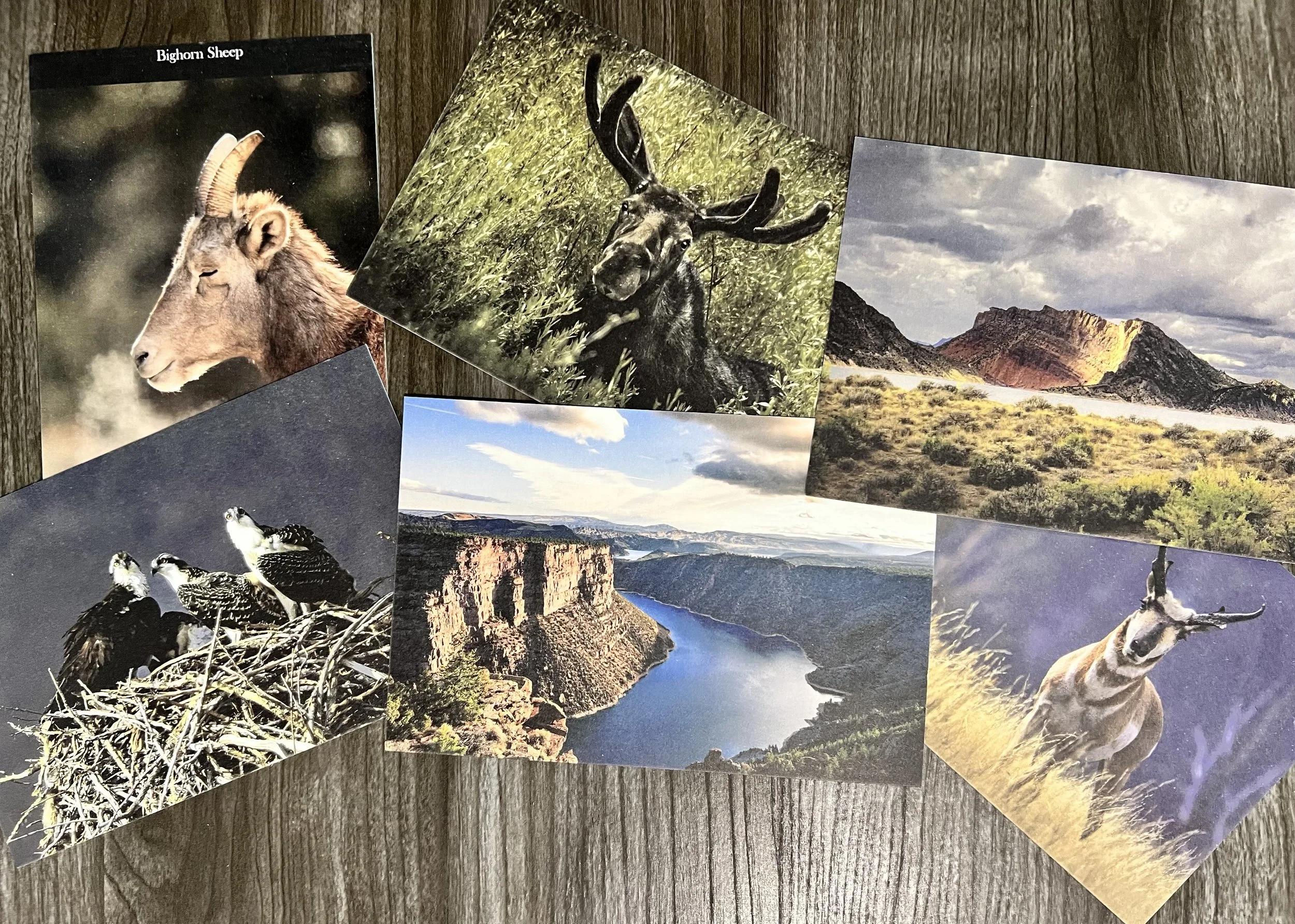 From Field to Postcard: Sharing Images Across Flaming Gorge