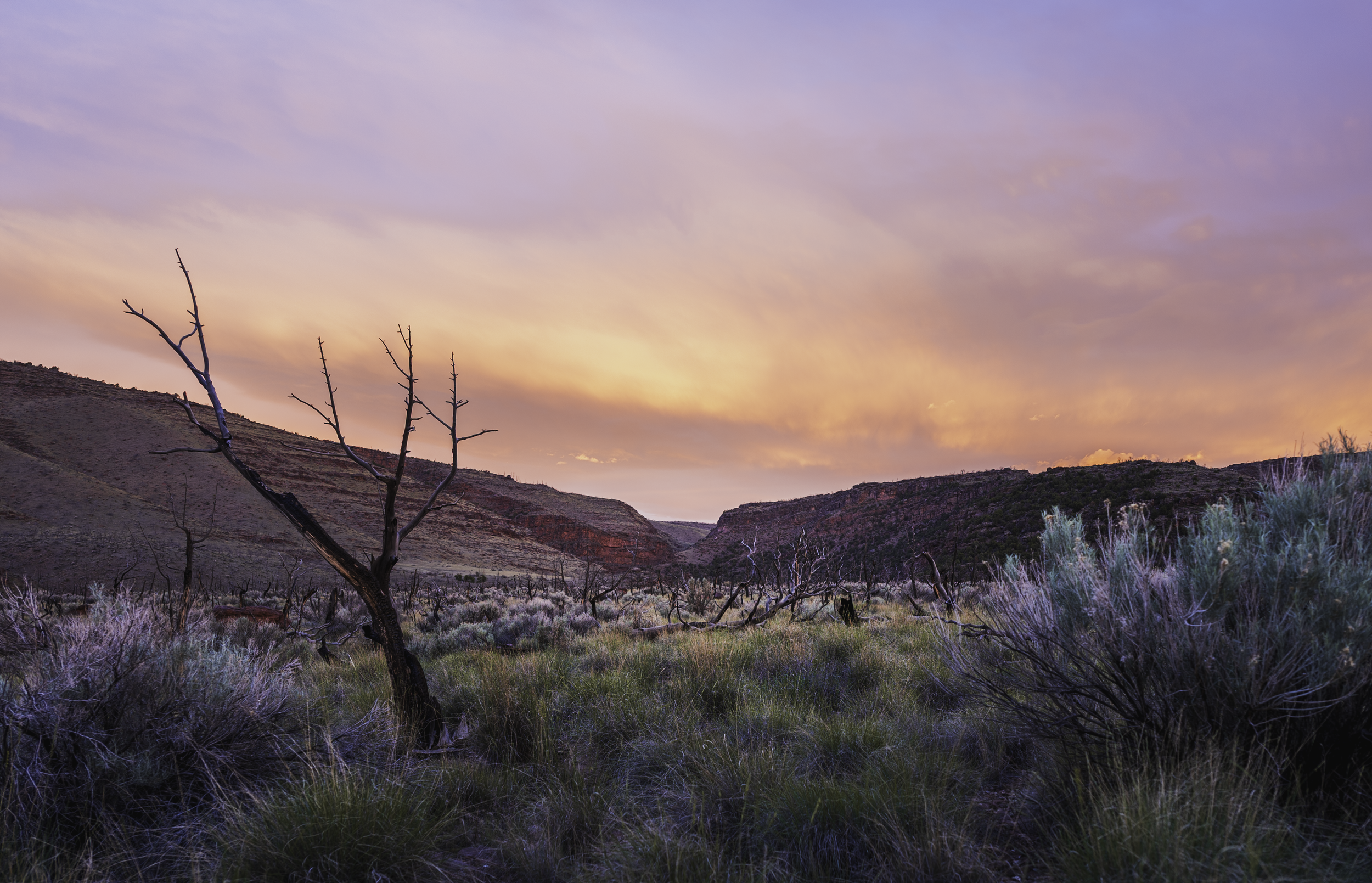 Rimside Sunrise