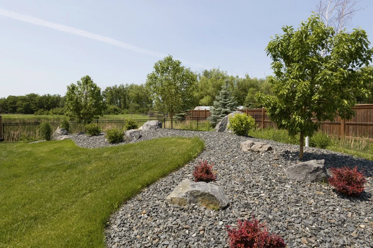 Landscape design with trees, rocks, and grass in a backyard garden.
