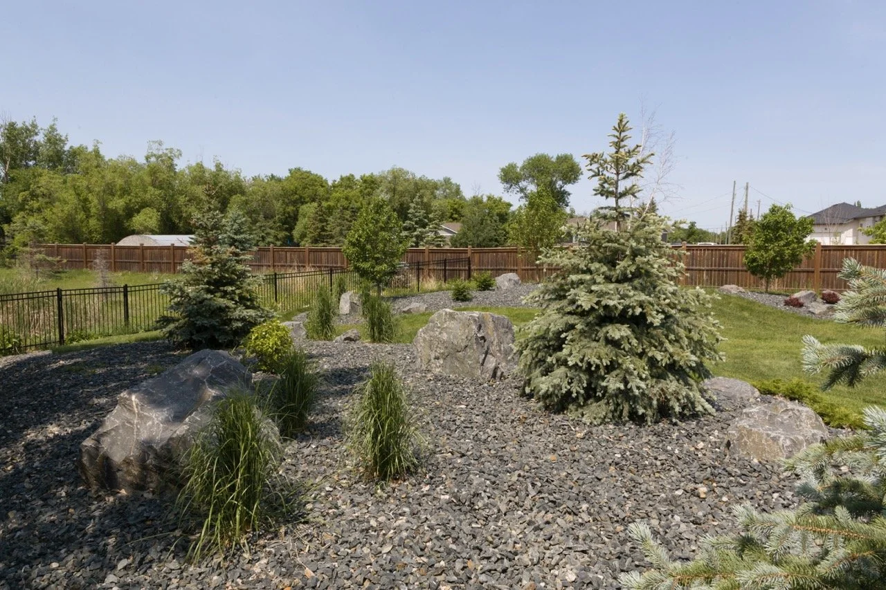 Landscaped garden with evergreen trees, large rocks, gravel, and a wooden fence.