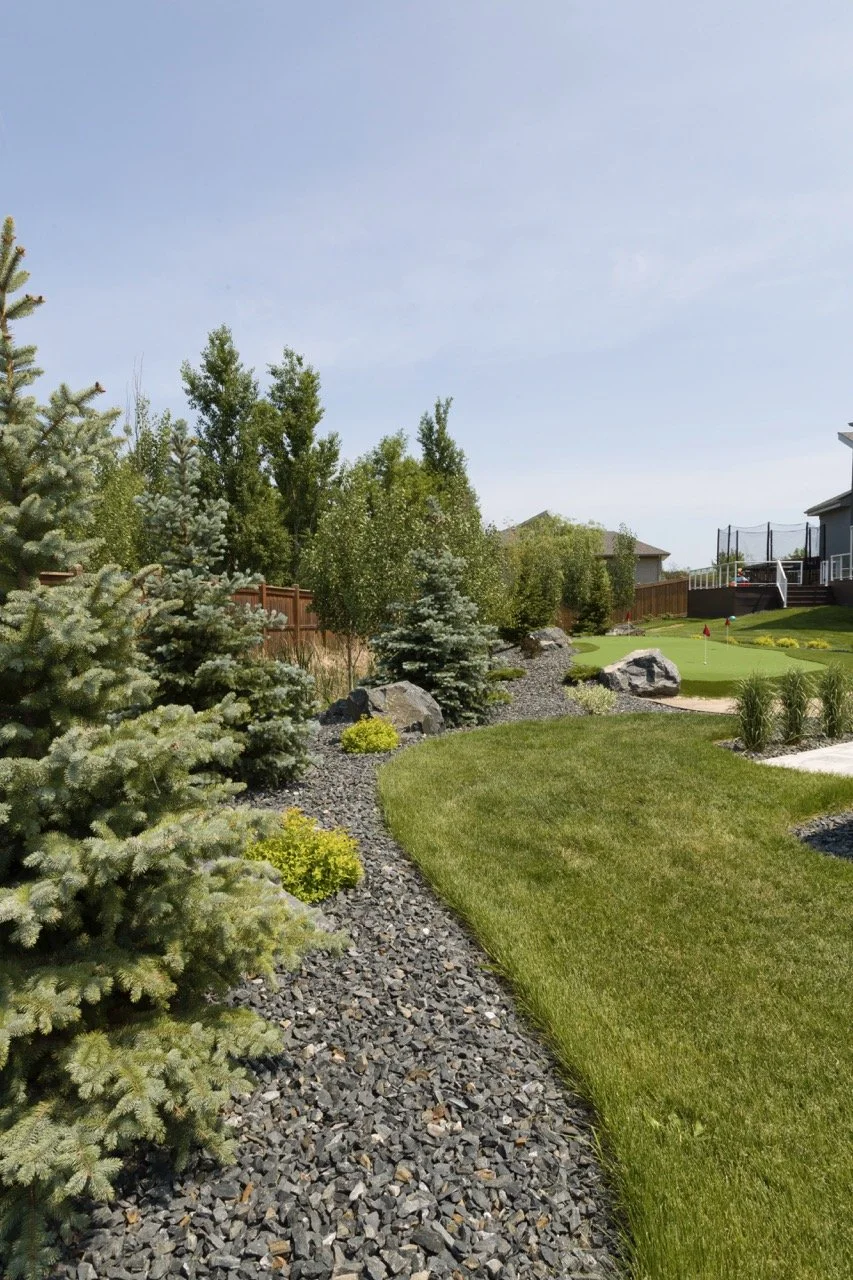 Backyard with manicured lawn, stone path, evergreen trees, shrubs, and a small putting green under a clear sky.