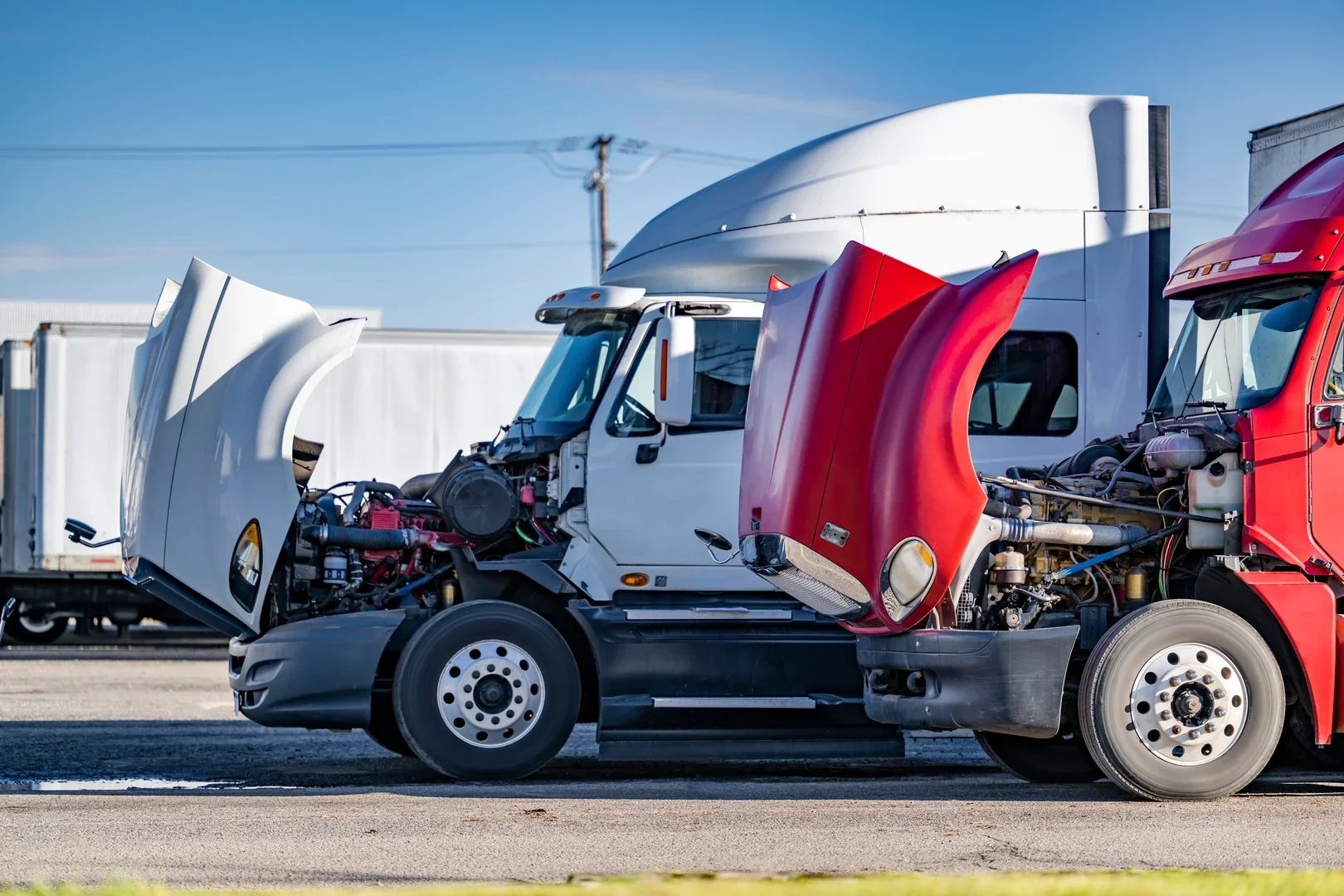 Semi trucks parked in a yard with hoods open for repair and maintenance