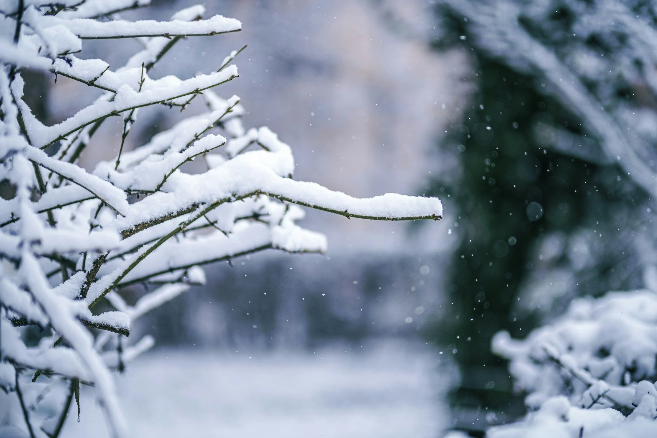 March Energy: Intentional Movement (Without Urgency)