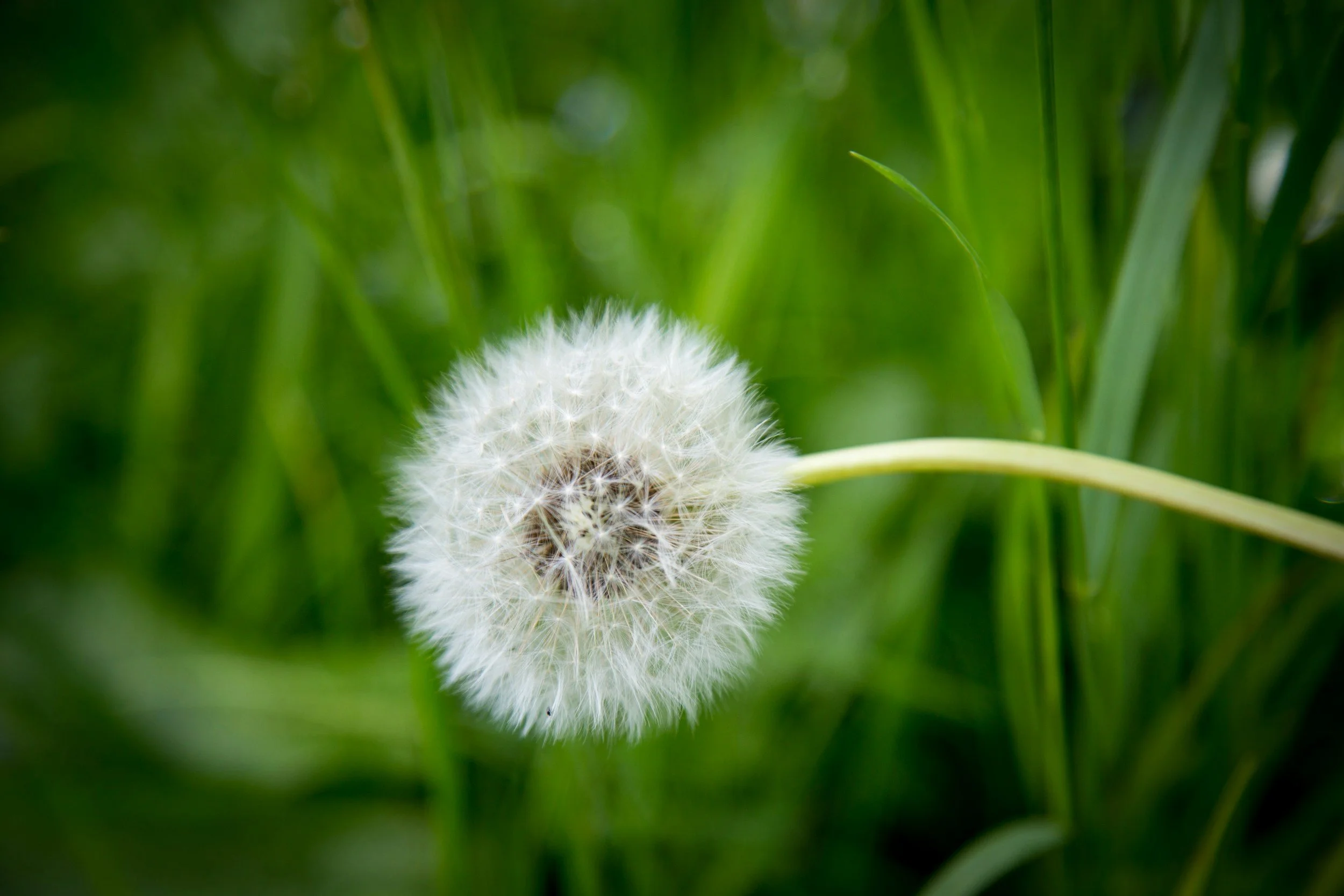 May Energy: Steady Release(Letting Go of What No Longer Holds)
