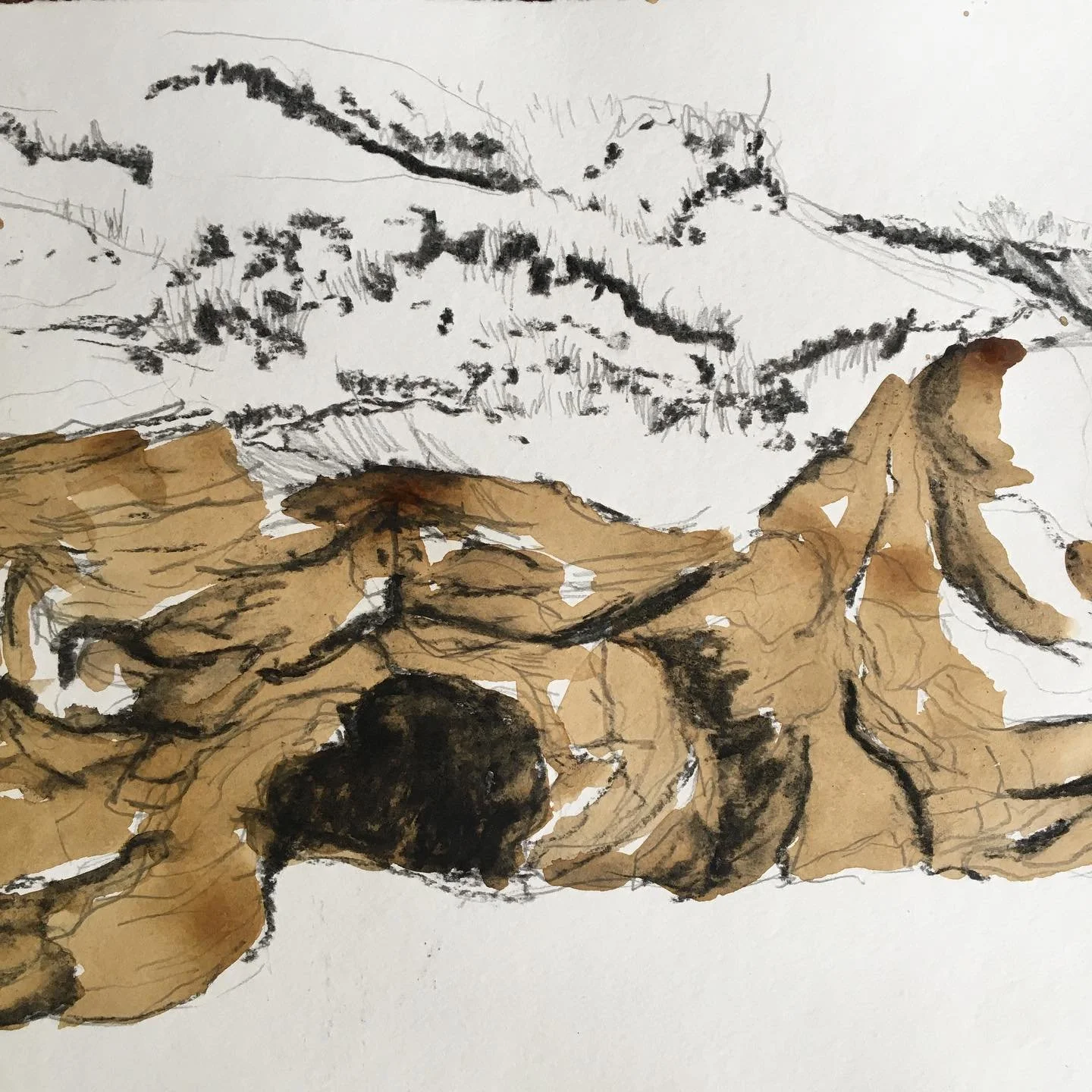 Yesterday I spent the morning drawing 
A real test in patience, it&rsquo;s hard in this world not to give into distractions but I persevered and learnt and refined. 

It&rsquo;s a good skill to learn and develop. I think I&rsquo;ll focus on this for 