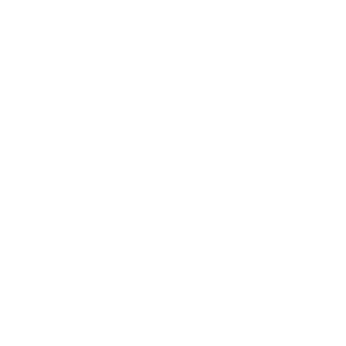 White Whats App chat logo