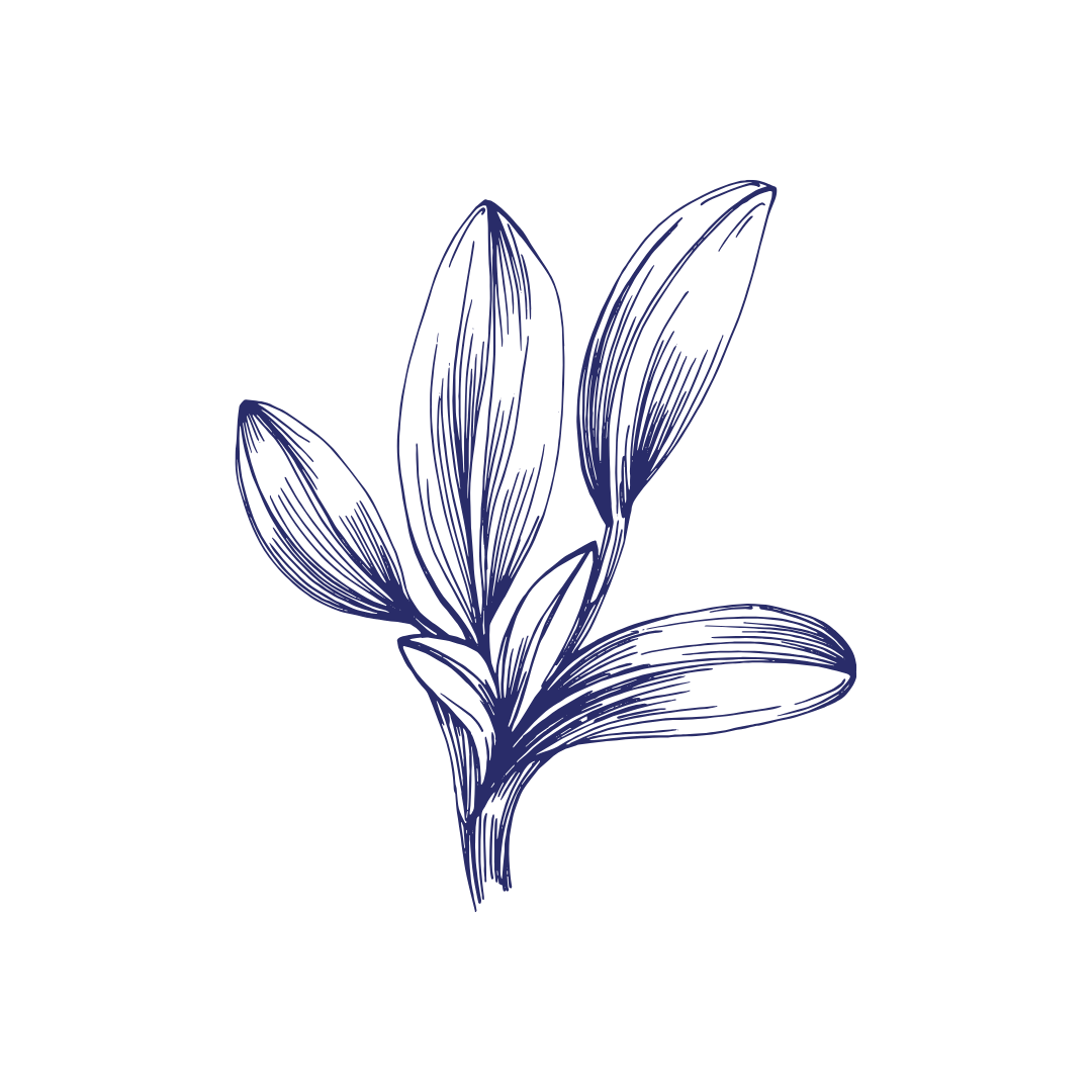 25.png