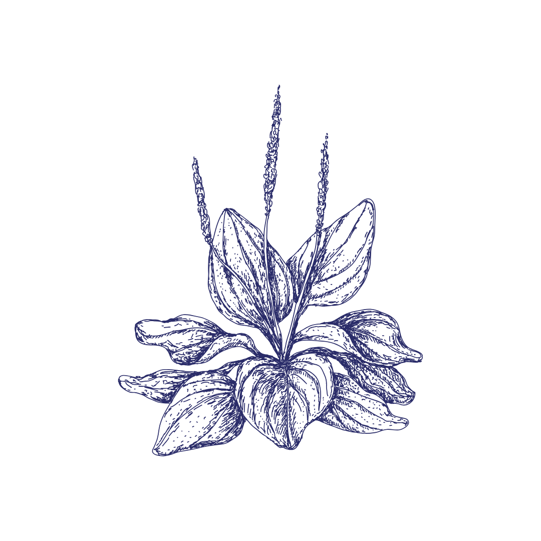 31.png