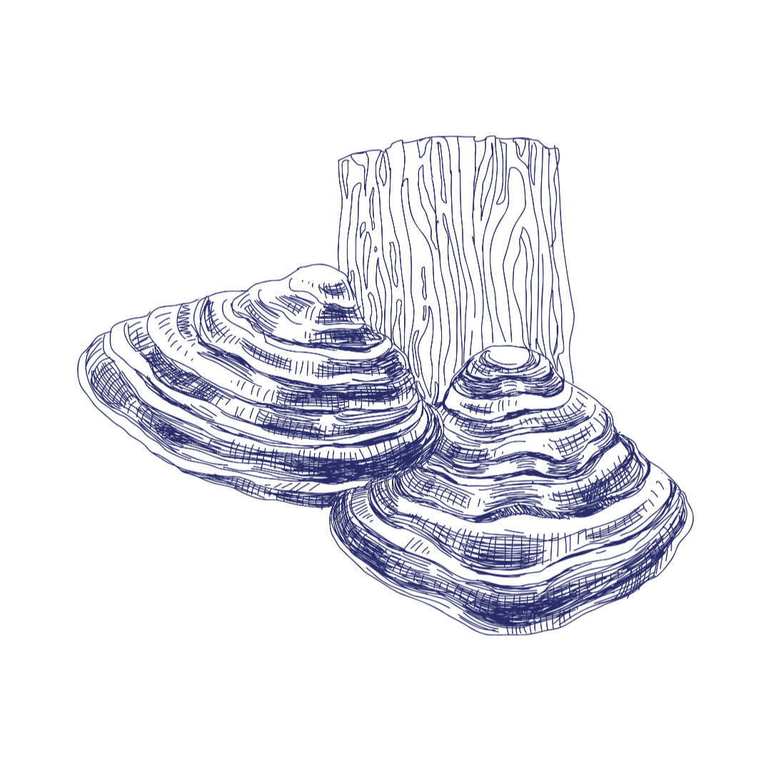 30.png