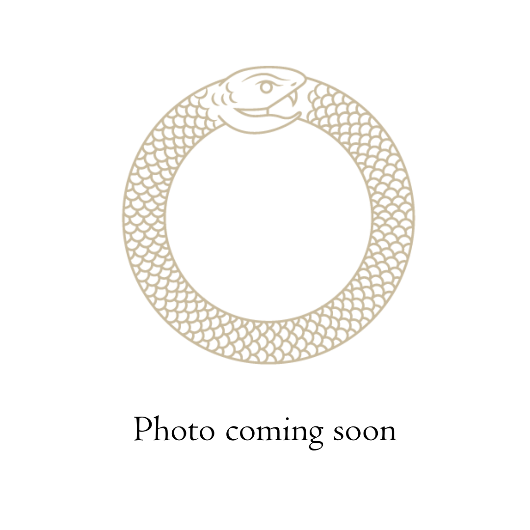 Illustration of an ouroboros, a serpent eating its own tail, with the text "Photo coming soon."