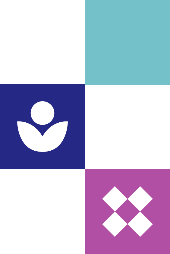 A collage of squares with different background colors and symbols: teal square, navy blue square with an icon of a leaf and seed meaning Mentorship, and pink square with an icon of four diamonds meaning Diversity.