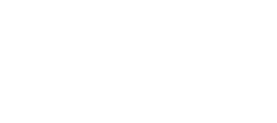 Lemmikloomafotograaf Kairi