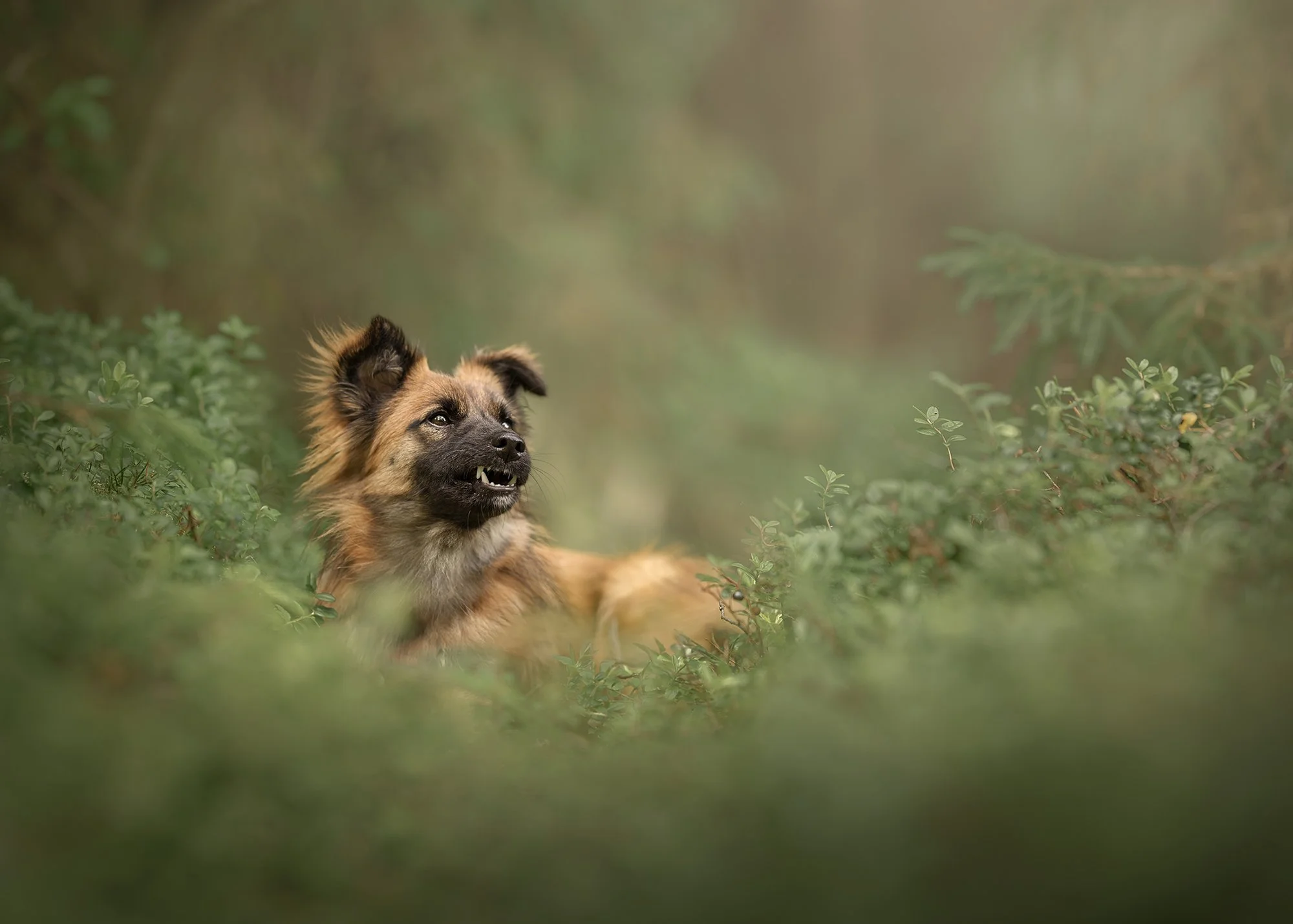 Mida minuga pildistamisel oodata?