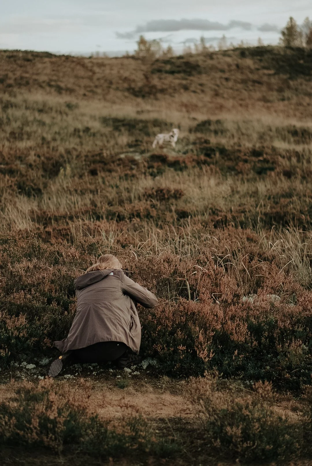 Koertefotograaf Kairi Eesti, koerte, koerafoto, koera pildid, fotosessioon koeraga, lemmiklooma pildistamine, koerte foto, lemmikloomafotograaf, koerafotostuudio, stuudio koer, stuudiofotograafia koer, dog photography, Estonia, dog photos, profession